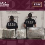 ASEGURA FESC 24 KILOS DE MARIHUANA EN TIJUANA