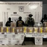 CONFISCAN FUERZA ESTATAL Y SEDENA MÁS DE 300 KG DE METANFETAMINA Y MÁS DE 40 KG DE COCAÍNA