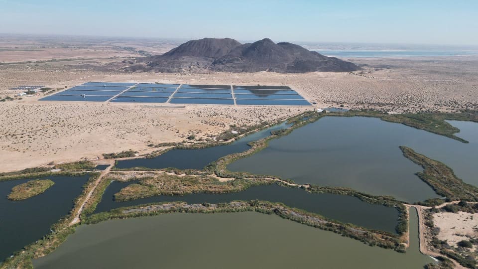 REALIZA SECRETARIO DEL AGUA DE BAJA CALIFORNIA RECORRIDO DE SUPERVISIÓN AL PROYECTO DE LAS ARENITAS