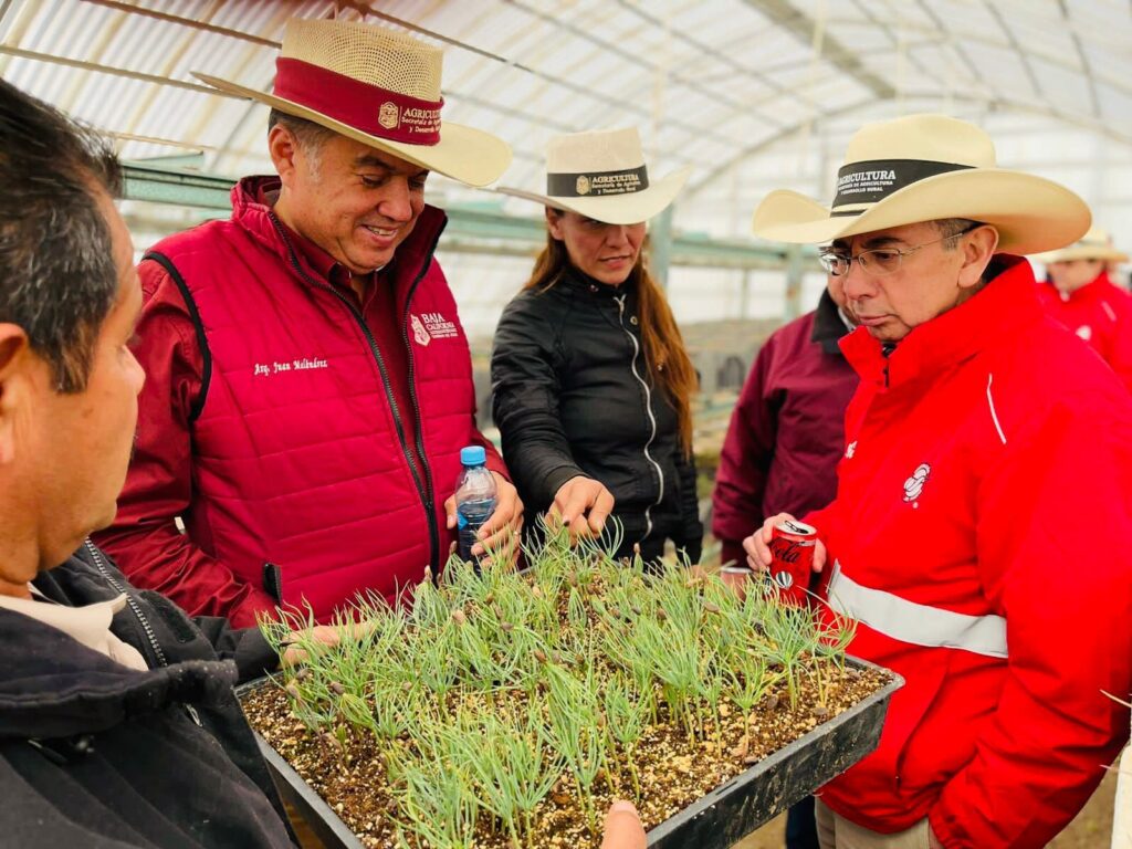 REHABILITA SADER BC VIVERO FORESTAL EN EL POBLADO EL HONGO