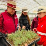 REHABILITA SADER BC VIVERO FORESTAL EN EL POBLADO EL HONGO