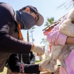 INVITA LA JURISDICCIÓN DE SALUD MEXICALI A PARTICIPAR EN LAS JORNADAS GRATUITAS DE VACUNACIÓN ANTIRRÁBICA CANINA Y FELINA