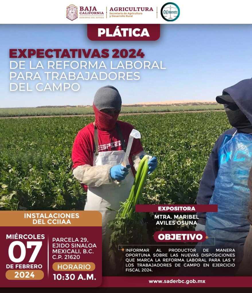 INVITA SADERBC A PLÁTICA “EXPECTATIVAS 2024 DE LA REFORMA LABORAL PARA TRABAJADORES DEL CAMPO”