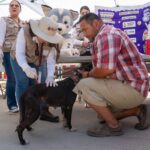 INVITAN A PARTICIPAR EN CAMPAÑA DE REFORZAMIENTO DE VACUNACIÓN ANTIRRÁBICA CANINA Y FELINA EN VILLAS DEL ROBLE Y MISIÓN DEL ÁNGEL EN MEXICALI