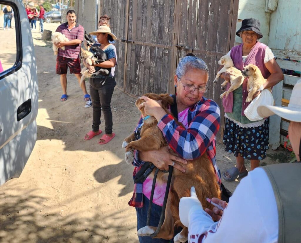 OFRECE JURISDICCIÓN DE SERVICIOS DE SALUD TIJUANA ACCIONES PREVENTIVAS CONTRA LA RICKETTSIOSIS