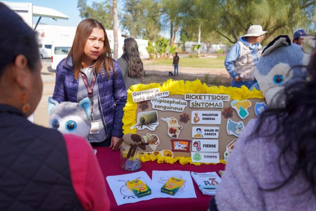 ARRANCA EN BAJA CALIFORNIA JORNADA NACIONAL CONTRA LA RICKETTSIOSIS 2024: SECRETARÍA DE SALUD