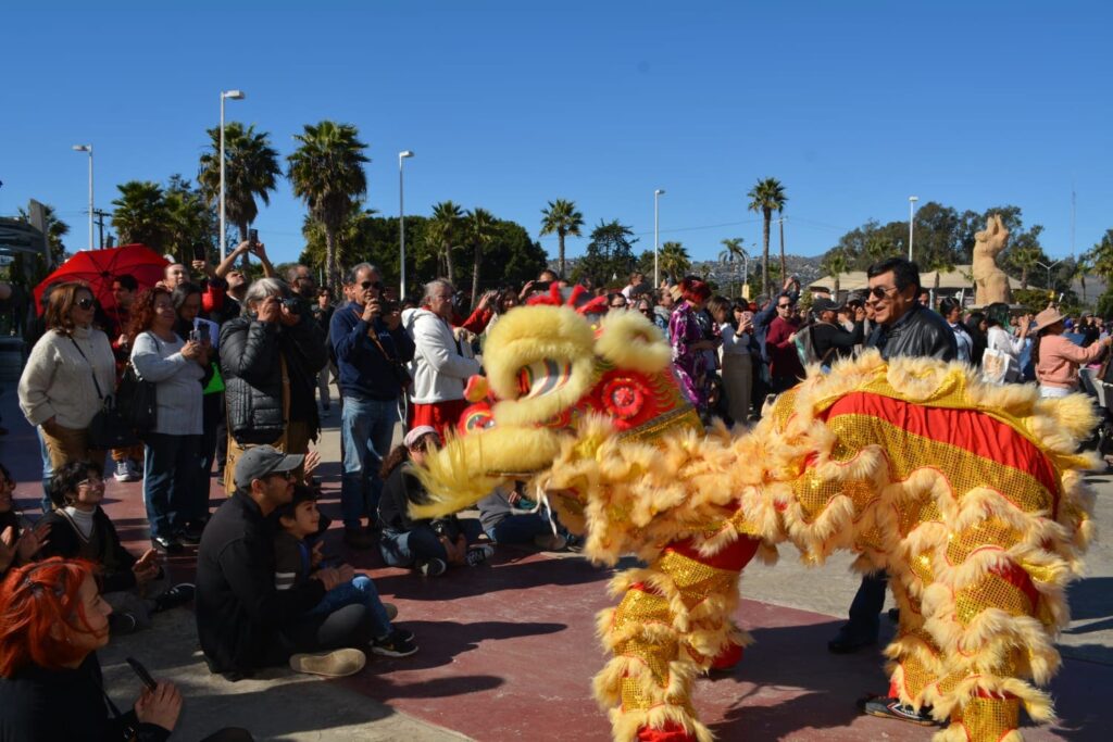 CELEBRAN CIENTOS DE FAMILIAS EL AÑO NUEVO CHINO EN ENSENADA: SECRETARÍA DE CULTURA