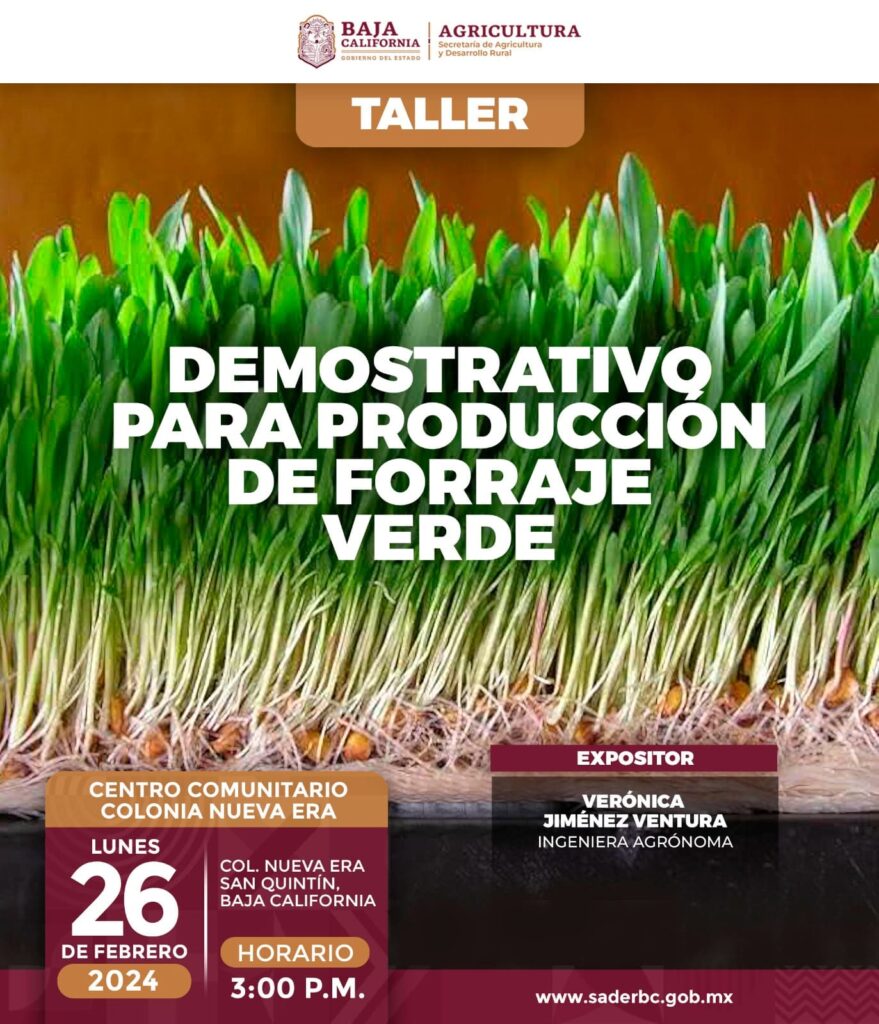 INVITA SADERBC A TALLER DEMOSTRATIVO PARA PRODUCCIÓN DE FORRAJE VERDE