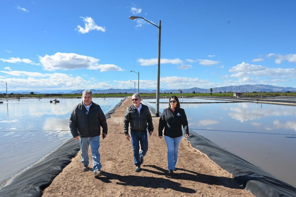 SUPERVISA SECRETARIO DEL AGUA PROYECTO SANITARIO EN EL VALLE DE MEXICALI