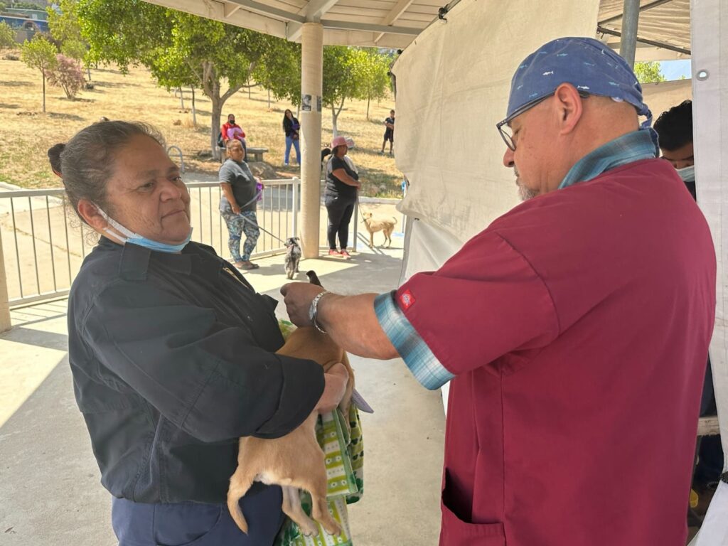 CONTINÚA JURISDICCIÓN DE SALUD ENSENADA ESTERILIZACIÓN CANINA Y FELINA GRATUITA