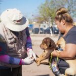 SE FORTALECEN ACCIONES CONTRA LA RICKETTSIA EN BAJA CALIFORNIA CON NUEVOS MÉTODOS DE PREVENCIÓN