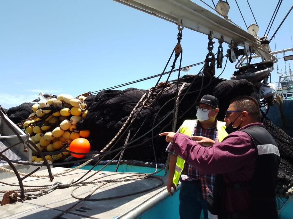 DECLARA COEPRIS BC VEDA SANITARIA PARA DE MOLUSCOS BIVALVOS EN VARIOS POLÍGONOS DEL ALTO GOLFO