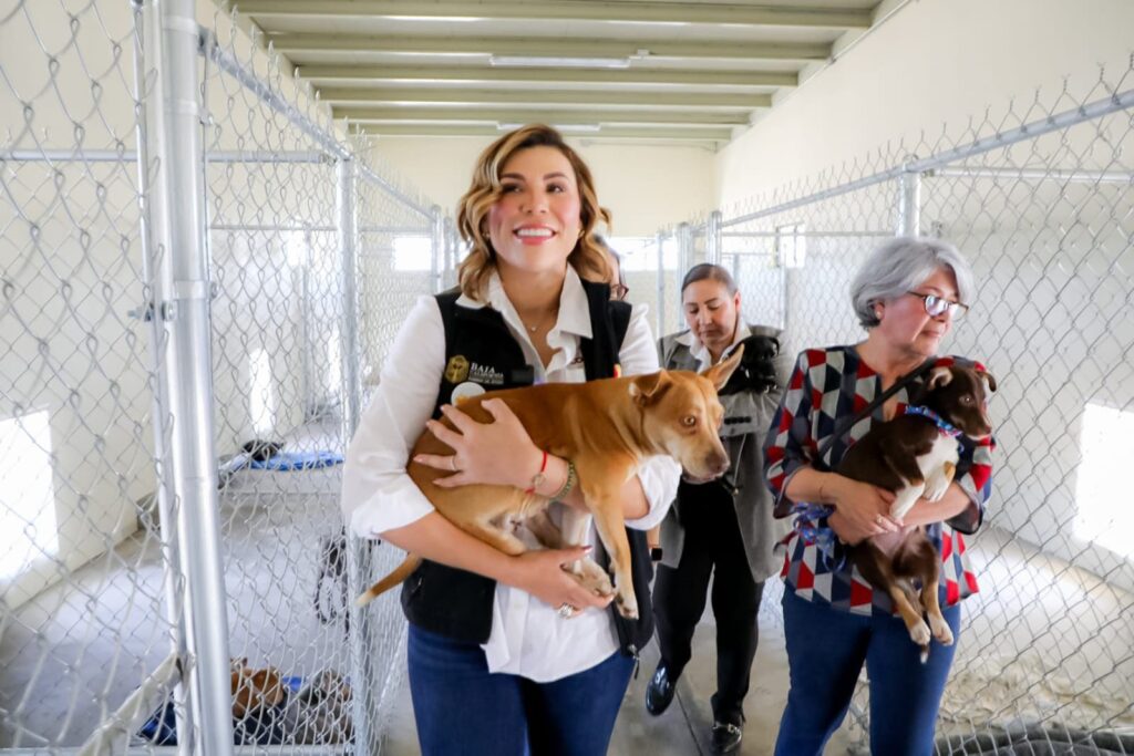 INFORMA GOBERNADORA MARINA DEL PILAR AVANCES EN LA OPERACIÓN DEL SANTUARIO ANIMAL MILY