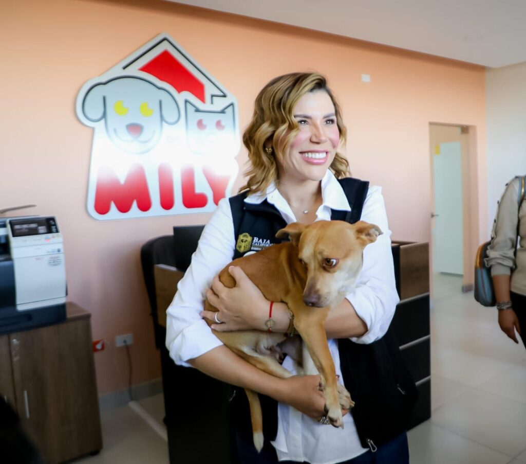 RECIBE SANTUARIO MILY A PERROS MALTRATADOS Y RESCATADOS: GOBERNADORA MARINA DEL PILAR