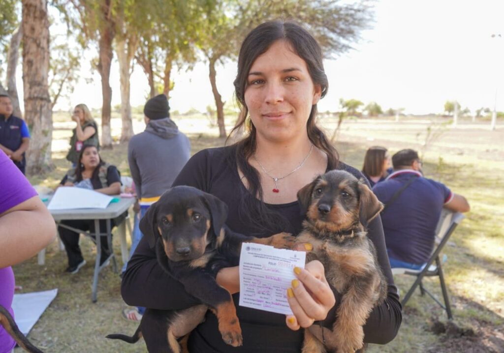 PREVIENE SECRETARÍA DE SALUD RICKETTSIA CON APLICACIÓN DE GARRAPATICIDA EN MASCOTAS