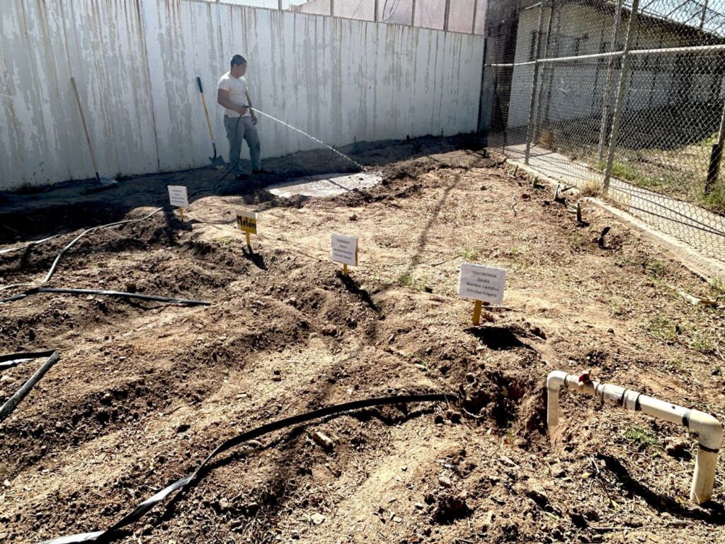 PROMUEVEN PROYECTO DE HUERTO ESCOLAR EN EL CENTRO DE INTERNAMIENTO PARA ADOLESCENTES DE MEXICALI