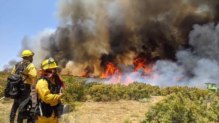 SE PREPARA SADERBC Y COMITÉ DEL MANEJO DE FUEGO ANTE TEMPORADA DE INCENDIOS FORESTALES