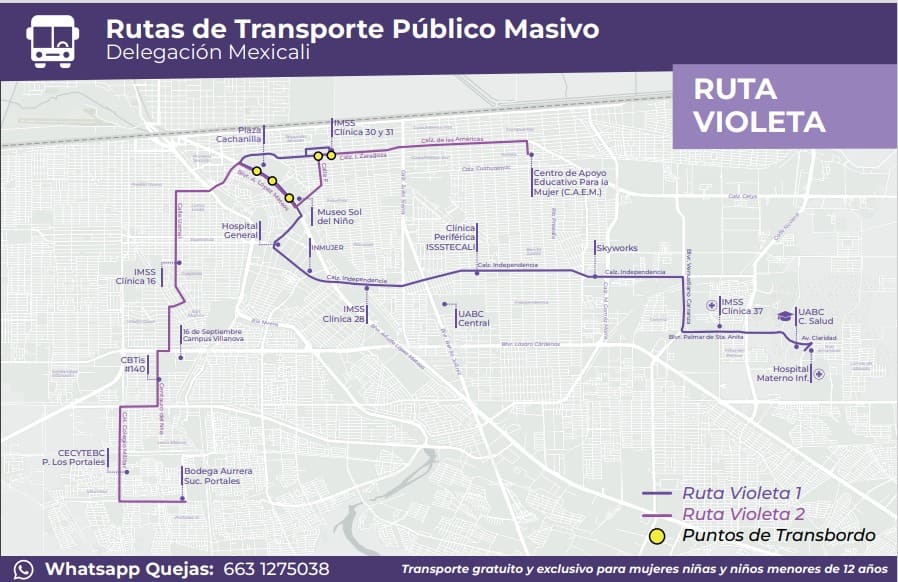 ESTRENA TRANSPORTE VIOLETA NUEVA DERIVACIÓN EN MEXICALI