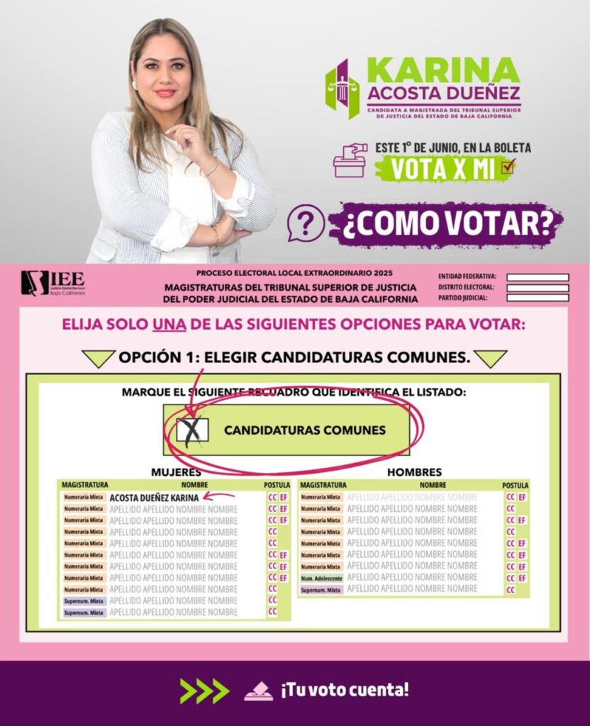 Karina Acosta busca el respaldo en elección judicial para ser magistrada local