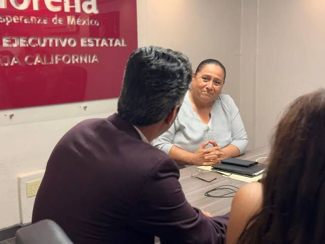 Con la reforma electoral, la presidenta Sheinbaum propone una democracia austera y cercana al pueblo: Rosina del Villar